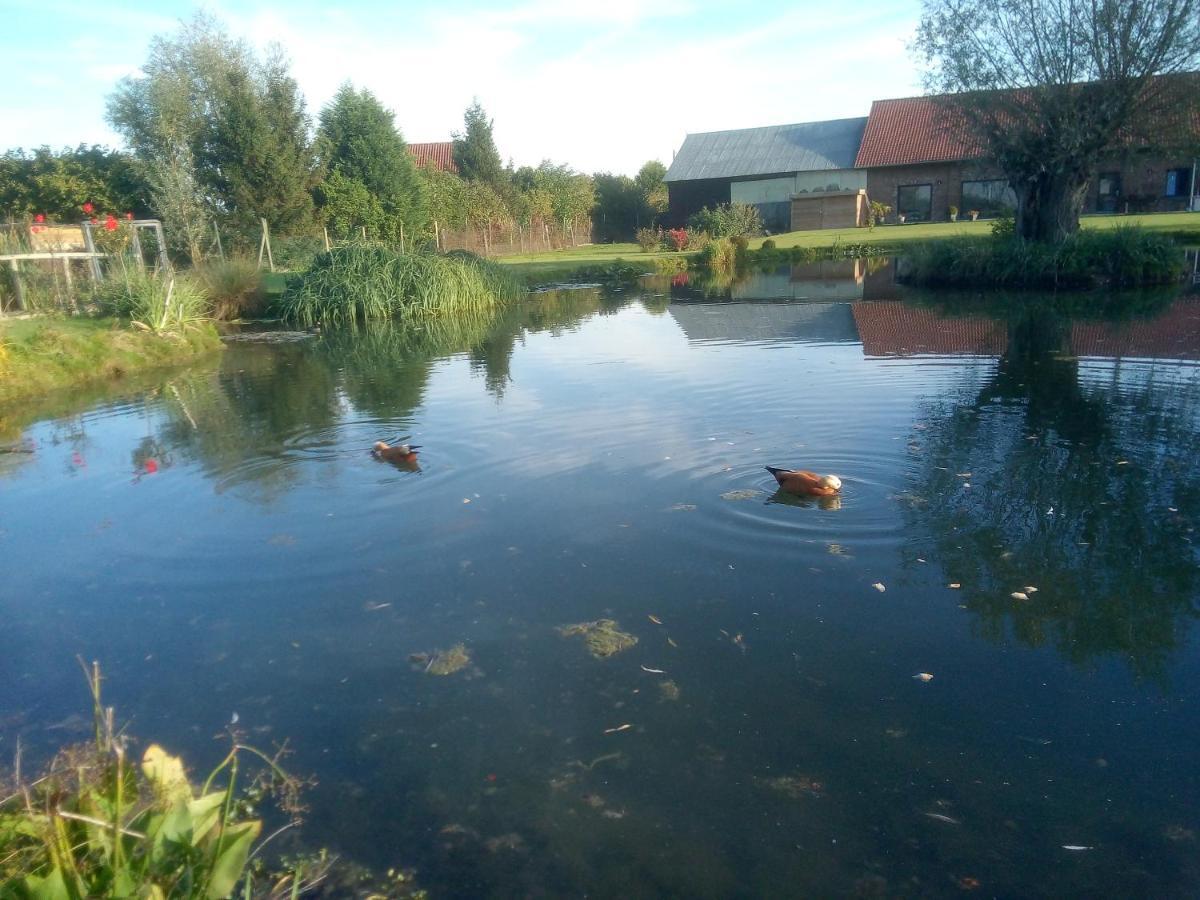 Gite Canard Fromelles Exterior photo